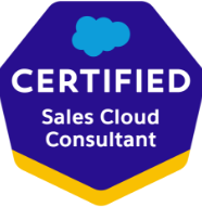 Sales Cloud Consultant